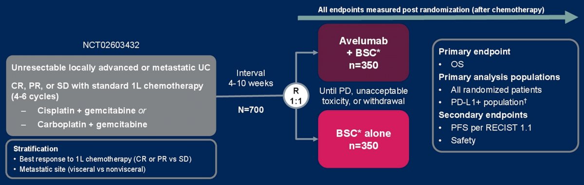 ASCO JAVELIN Bladder 100 trial-0.jpg