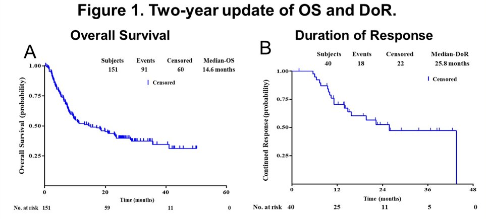 ASCO toripalimab-0.jpg