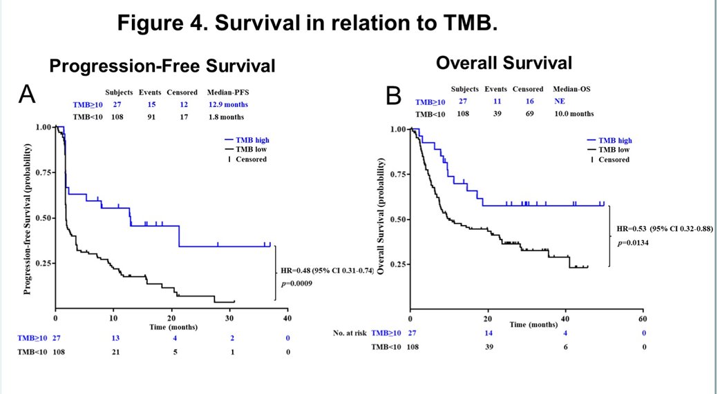 ASCO toripalimab-1.jpg
