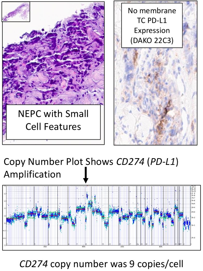 NEPC-2.jpg