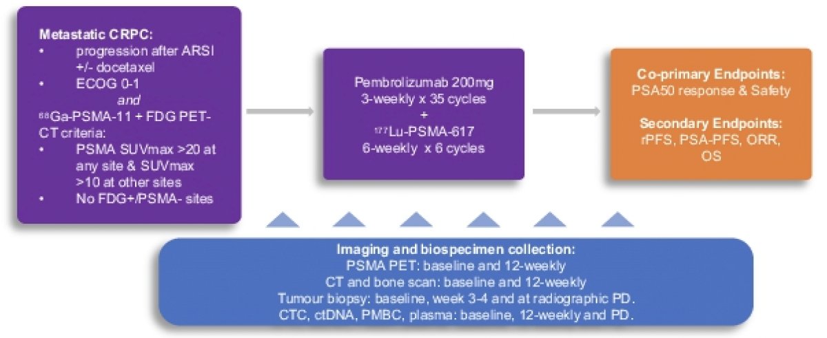 ASCO PRINCE study-0.jpg