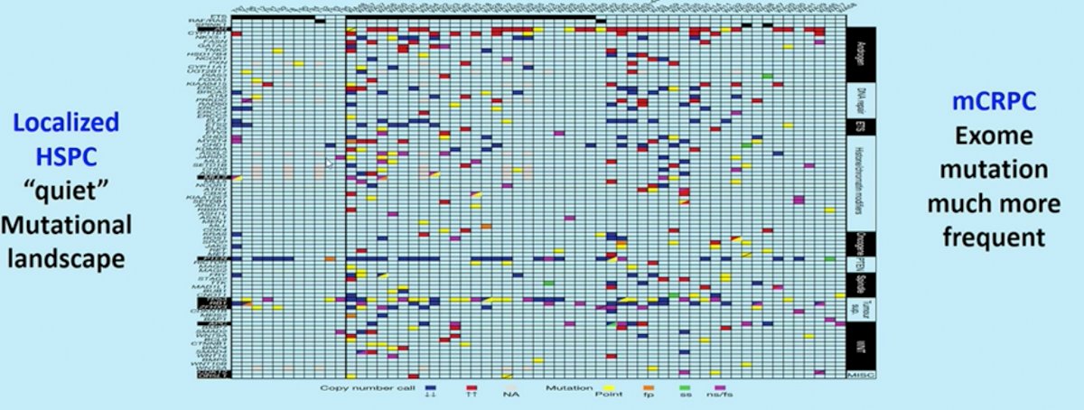 M0CRPC-5.jpg