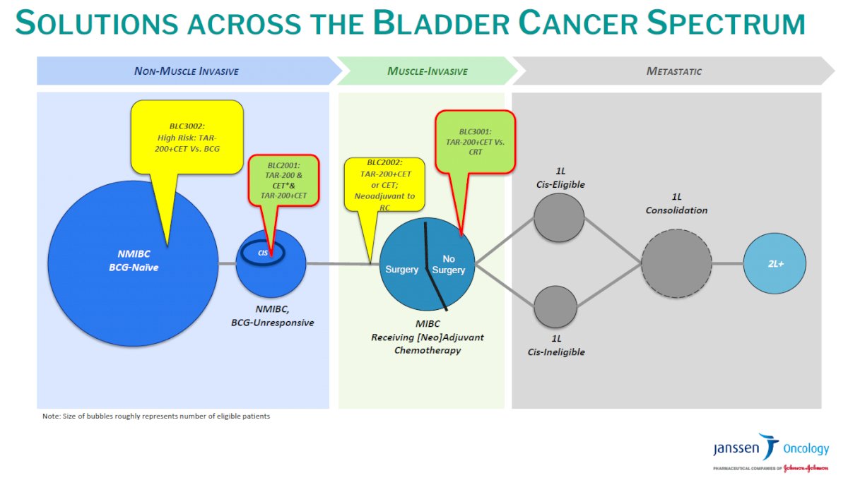 2022_SCS_AUA_Bladder_Preservation_Options_Image_4
