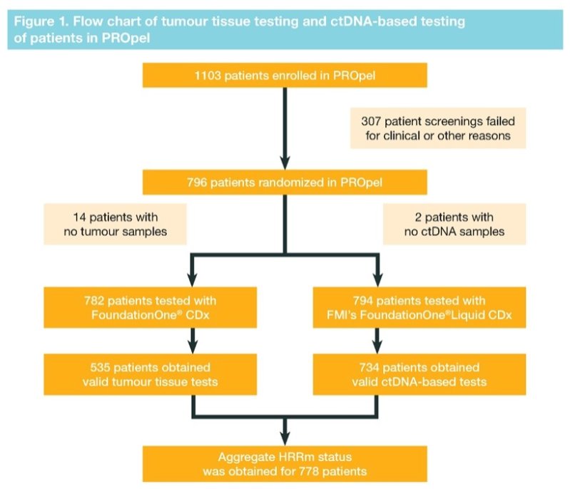 tumor_tissue_testing_ctdna_based_testing_image_1