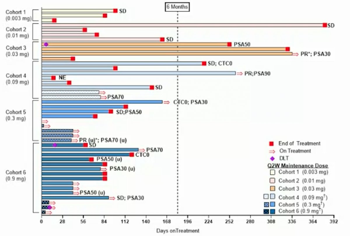 PSMA biology-2.jpg