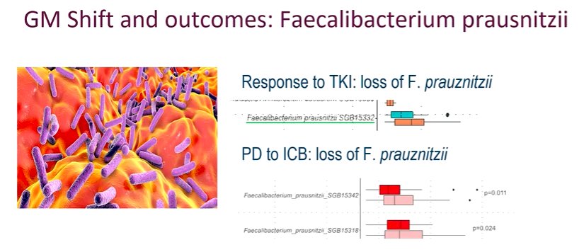 predictive_biomarkers_in_advanced_renal_cell_carcinoma_Image_2