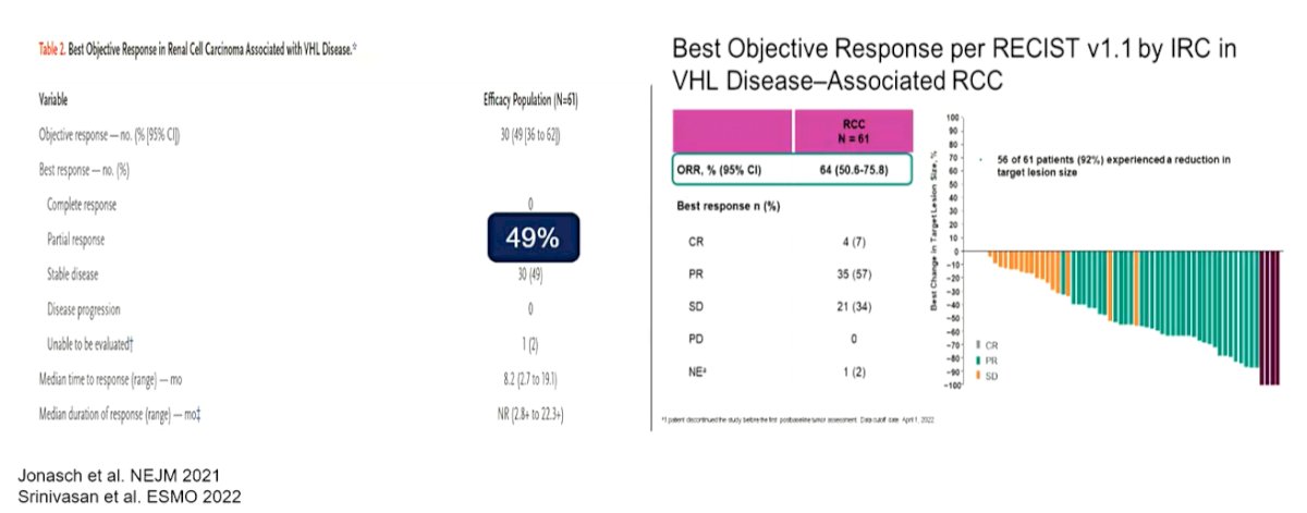 predictive_biomarkers_in_advanced_renal_cell_carcinoma_Image_3