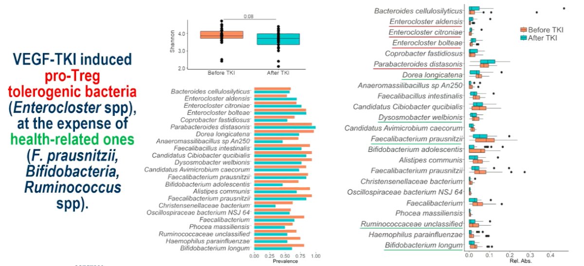 gut microbiota-4.jpg