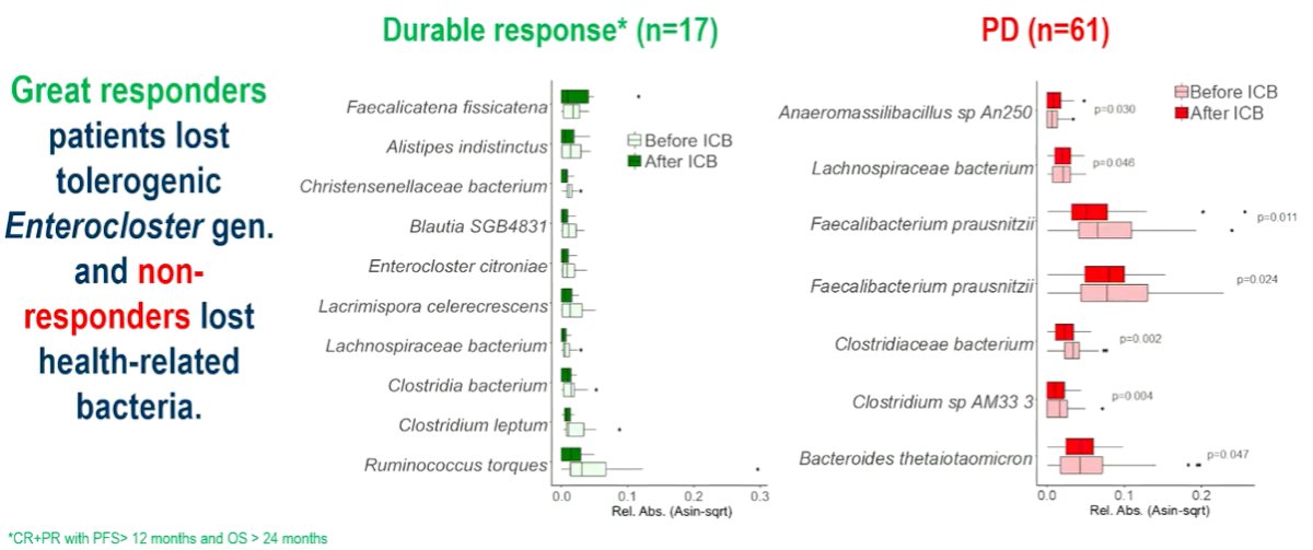 gut microbiota-5.jpg