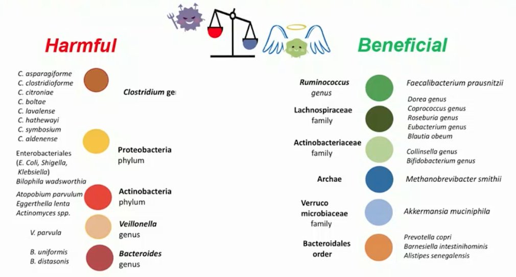 microbiome-3.jpg