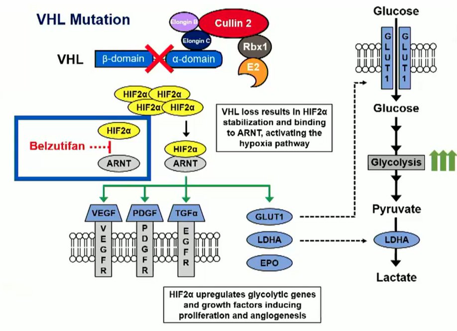 VHL associated RCC.jpg