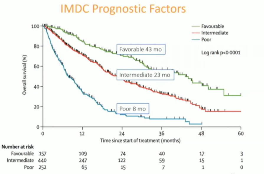 VEGF-targeted therapy.jpg