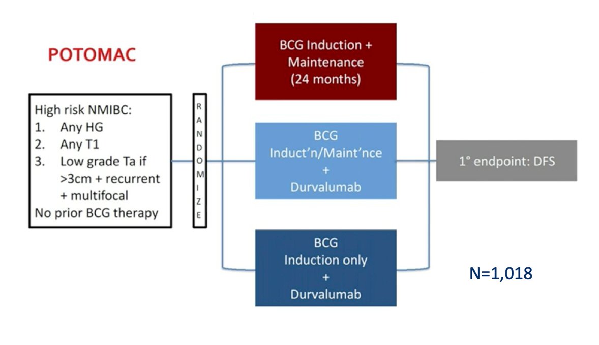 BCG-3.jpg