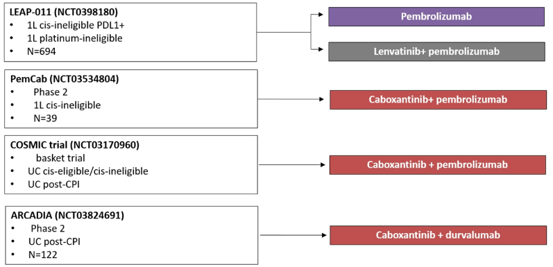 combinations of angiogenesis inhibitors with immunotherapy