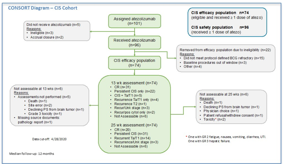 consort diagram