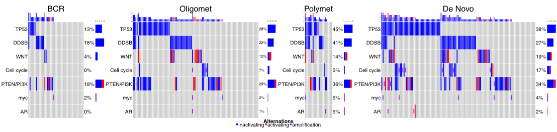 correlation of cancer relevant gene mutations to mcrpc