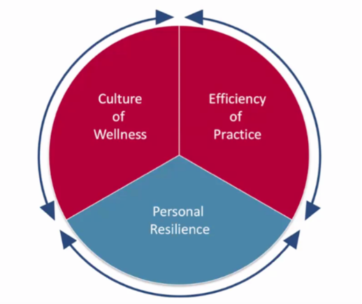 domains of physician wellbeing