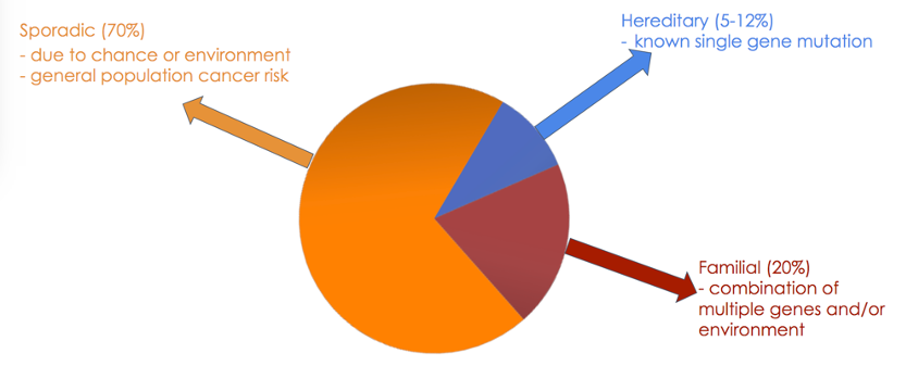 etiology of prostate cancer