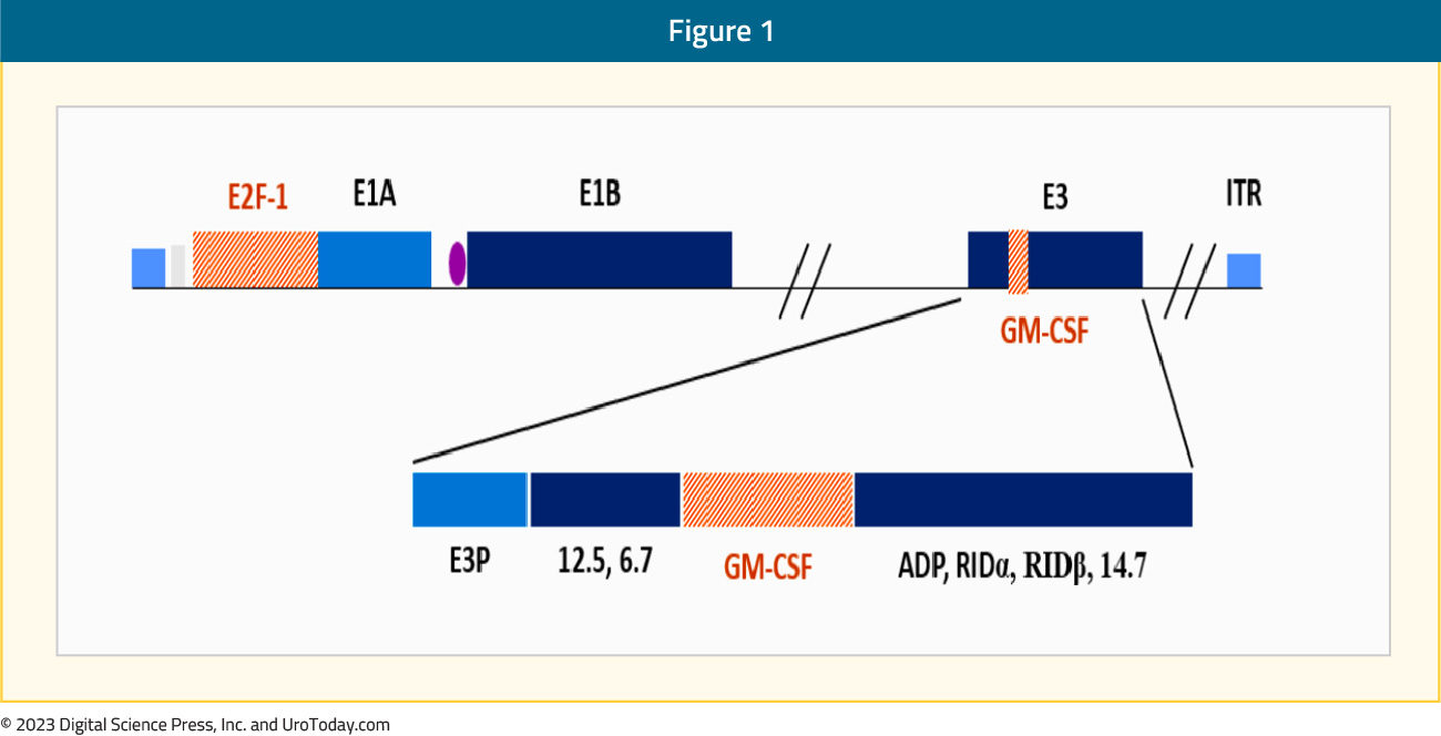 figure-1-PIVOT2x.jpg