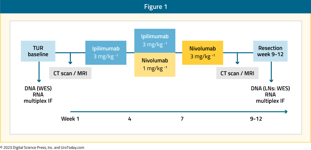 figure-1-bladder-neoadj-combo.jpg