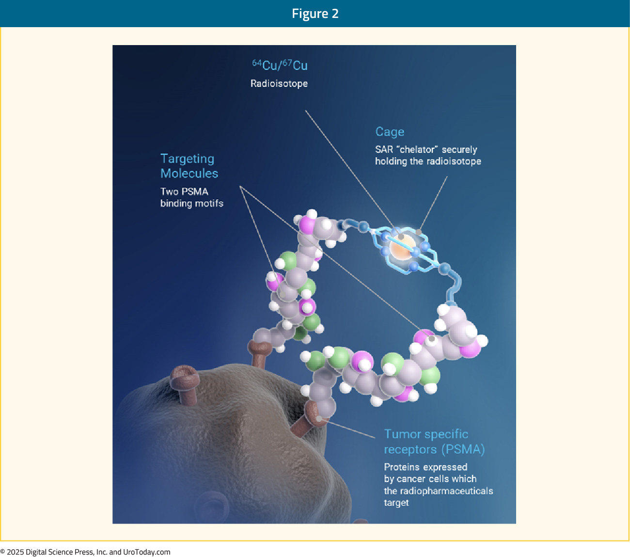 figure-2-PET-tracers-primary-staging.jpg