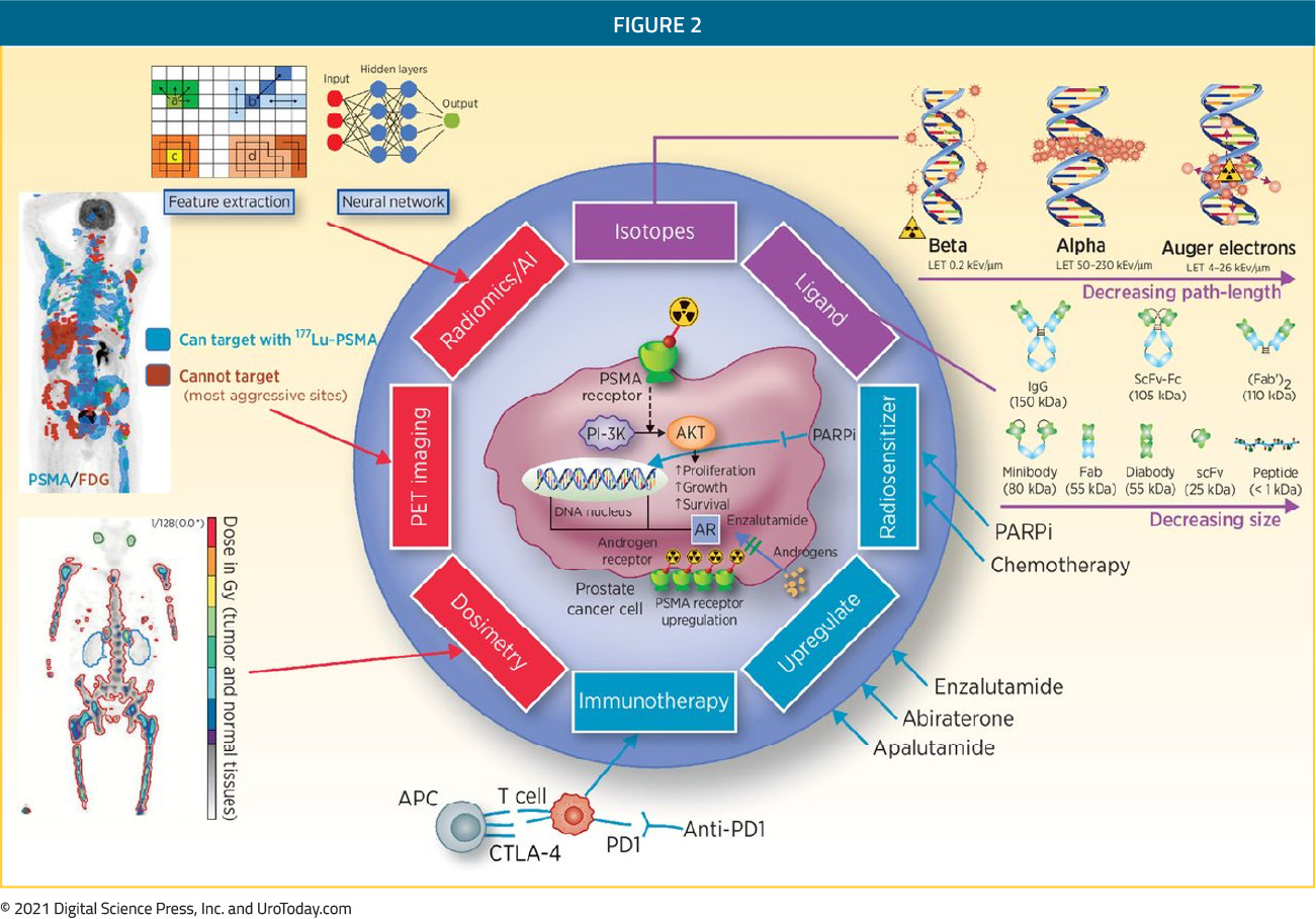 figure-2-PSMA-diagnostic-therapeutic2x.jpg