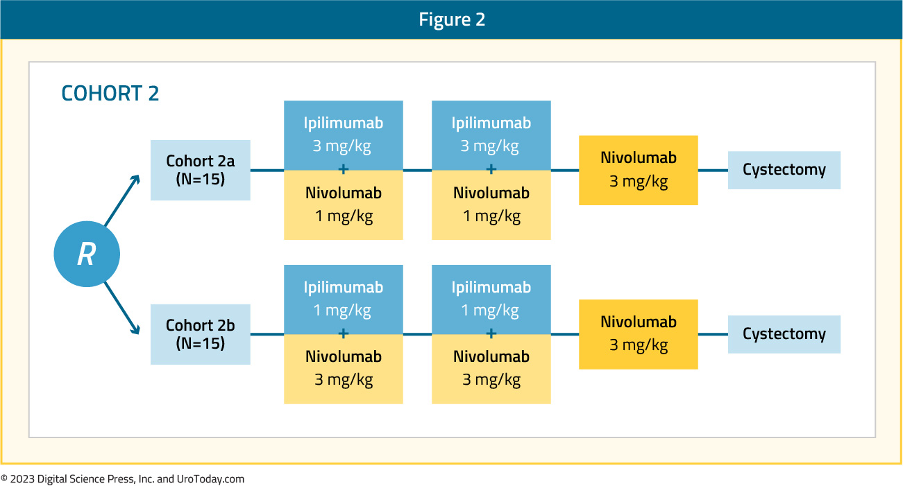 figure-2-bladder-neoadj-combo.jpg