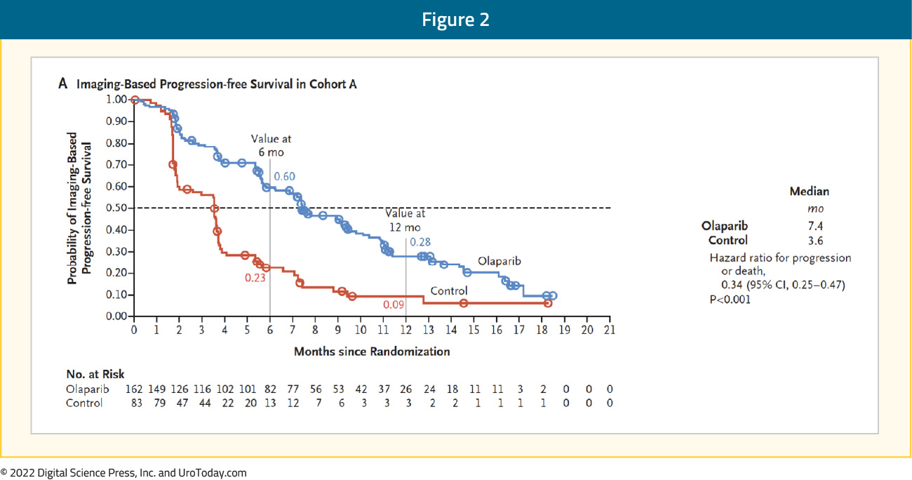 figure-2-immunotherapies2x.jpg