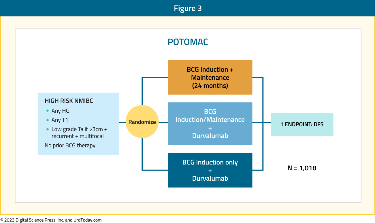 figure-3-BCGNaive-Immune-Priming.jpg