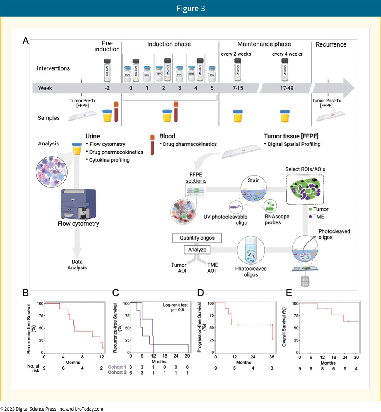 figure-3-immune-checkpoint-inhibitors.jpg