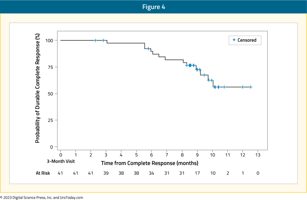 figure-4-bladder-cancer-chemoablation.jpg