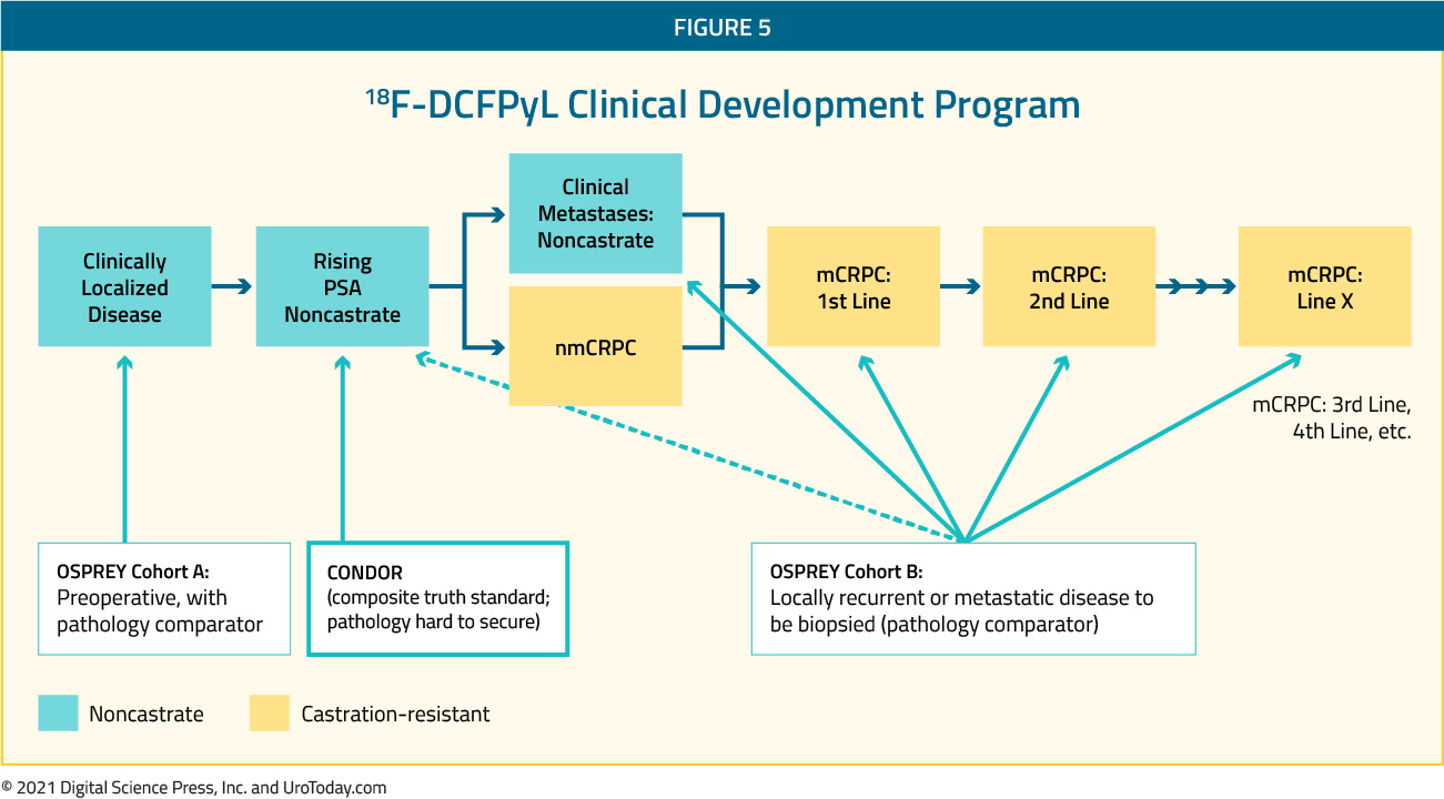 figure-5-PSMA-diagnostic-therapeutic2x.jpg