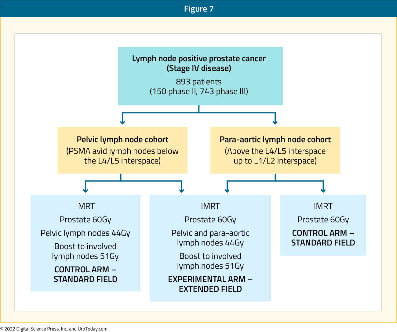 figure-7-XRT-52x.jpg