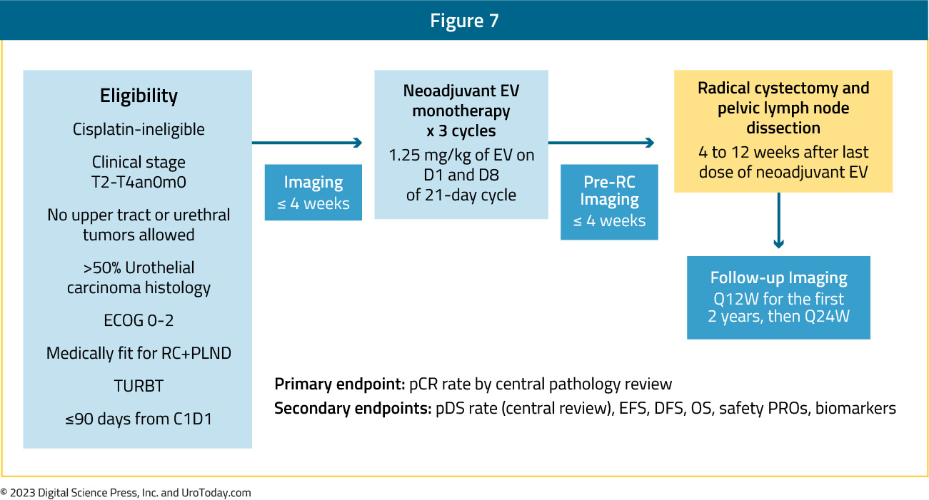 figure-7-bladder-neoadj-immuno-single.jpg