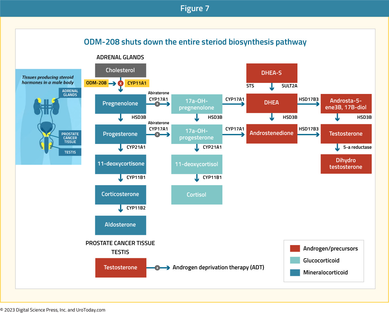 figure-7-mCRPC-novel-therapies2x.jpg