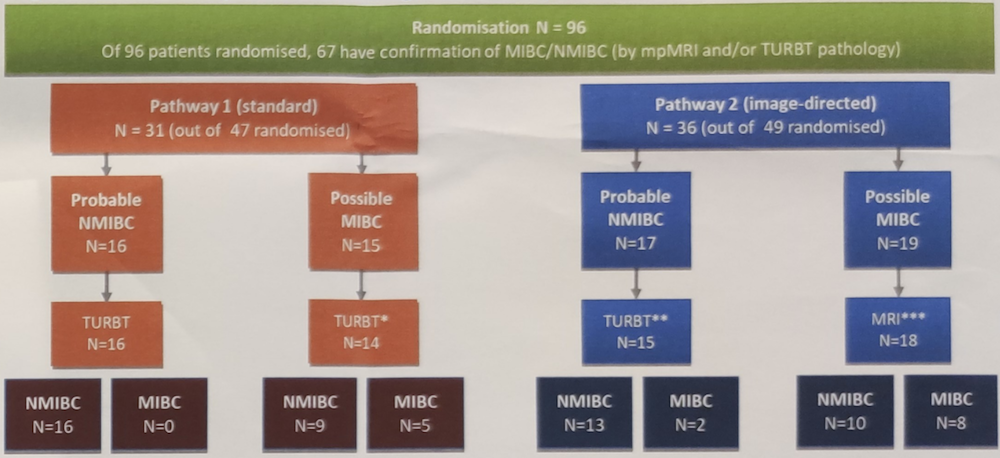 flow of patients through the study