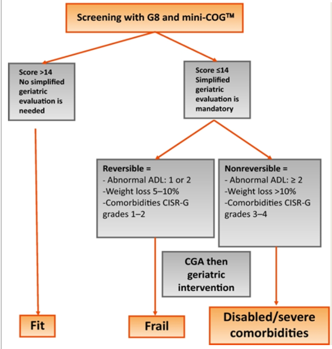 geriatric assessment