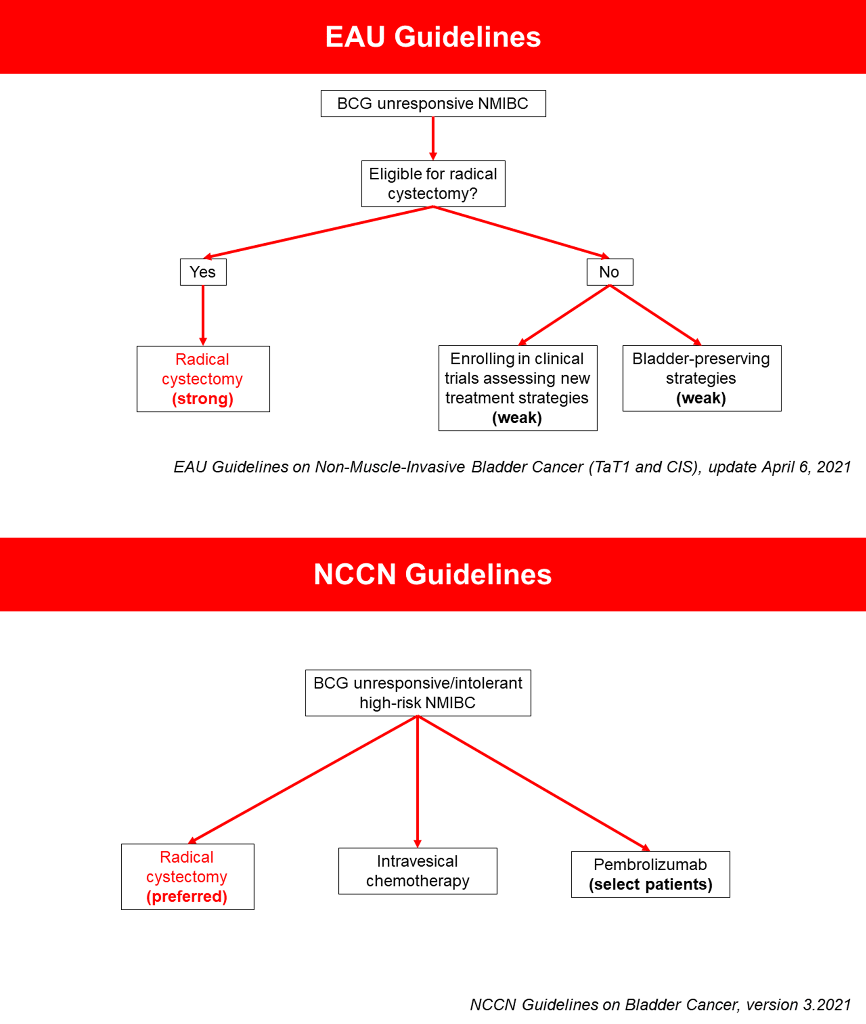 guidelines.png