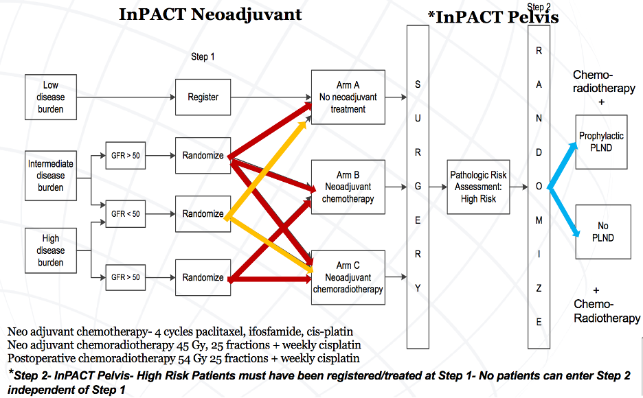 inPACT trial design