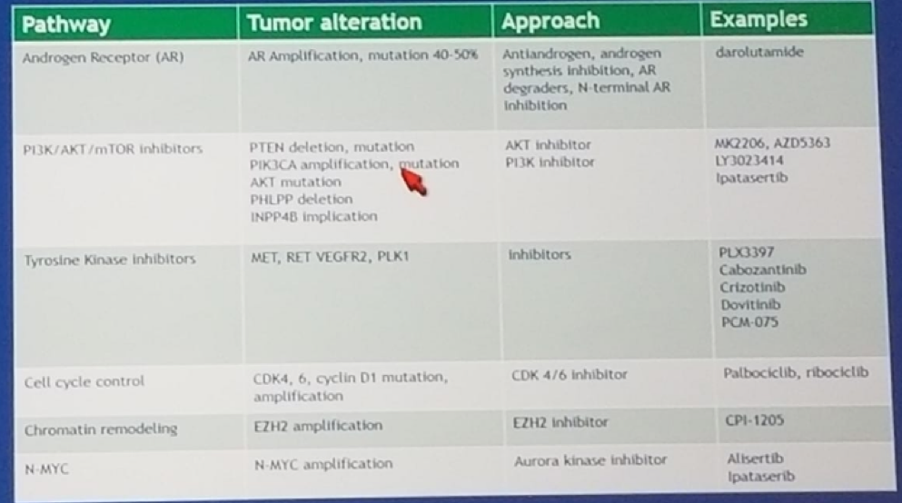 mCRPC signaling pathway inhibitors