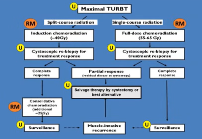 maximal_TUBRT.png
