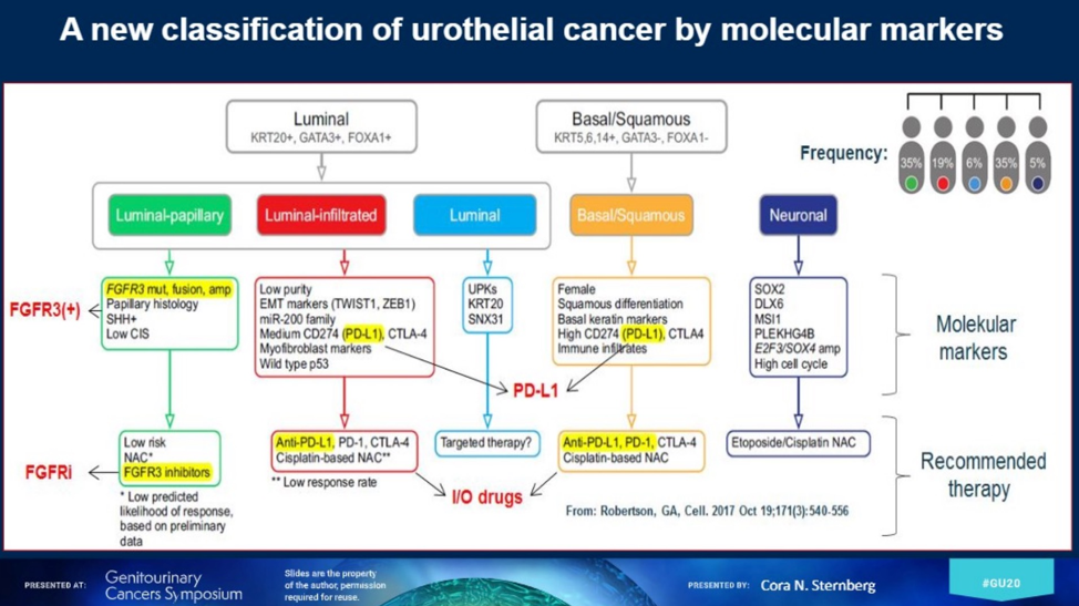 molecular_markers_classification.png