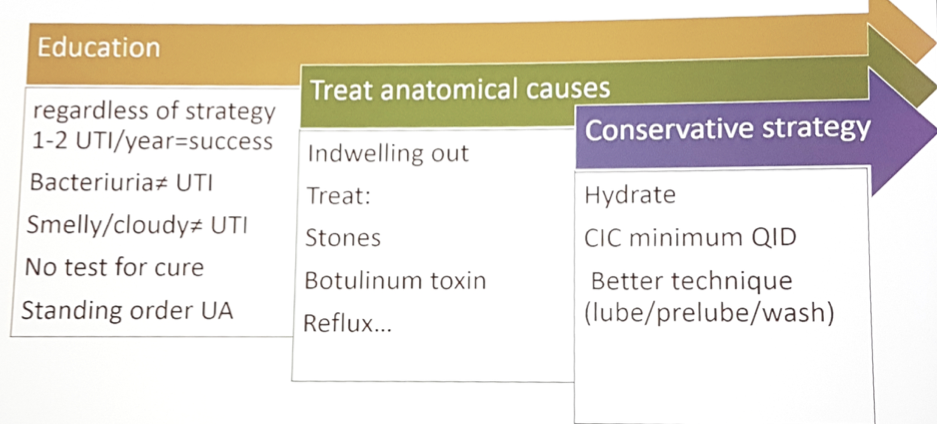 neurogenic bladder clinical strategy