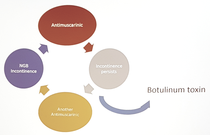 neurogenic bladder treatment algorithm