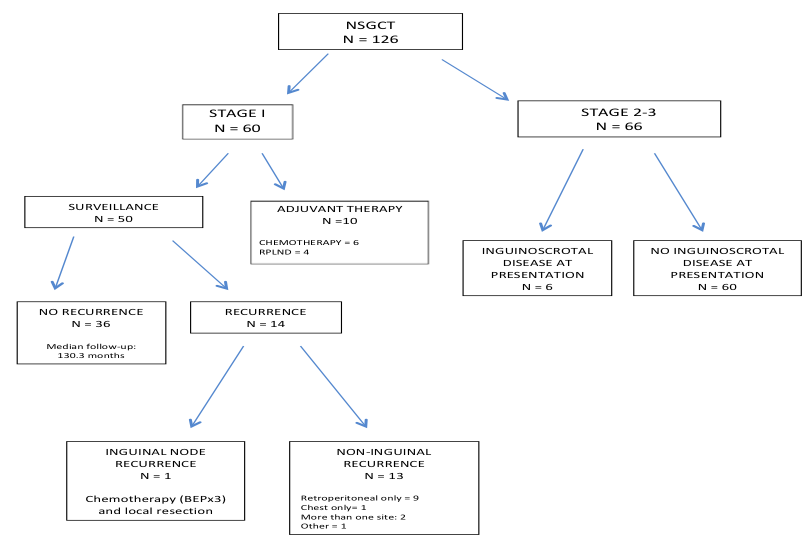 patient histology flowchart 2