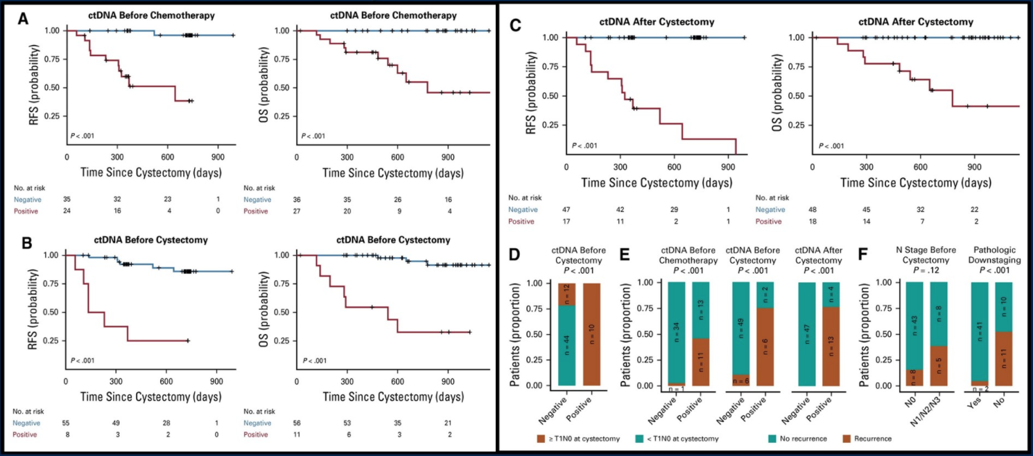 prognostic value of ctdna