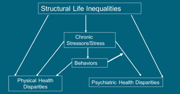 psychiatric_health_disparities.png