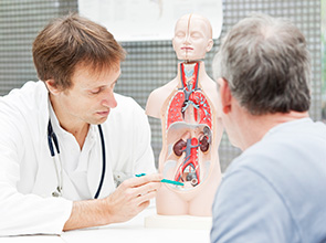 Doctor demonstrating underactive bladder to a patient