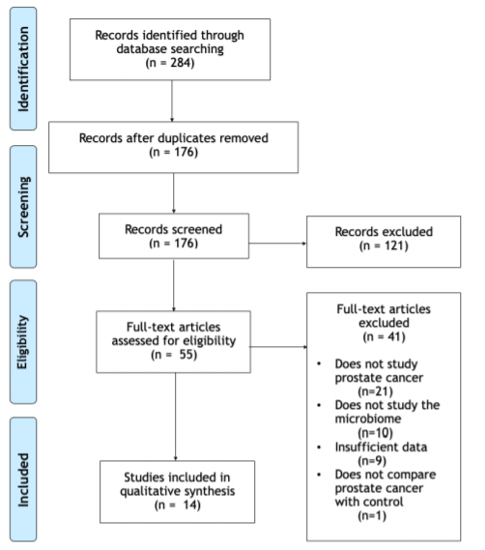 study flow diagram