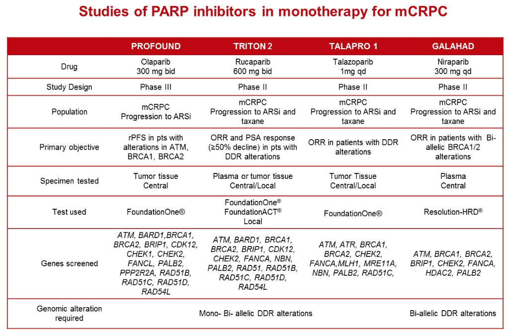 study of parp inhibitors